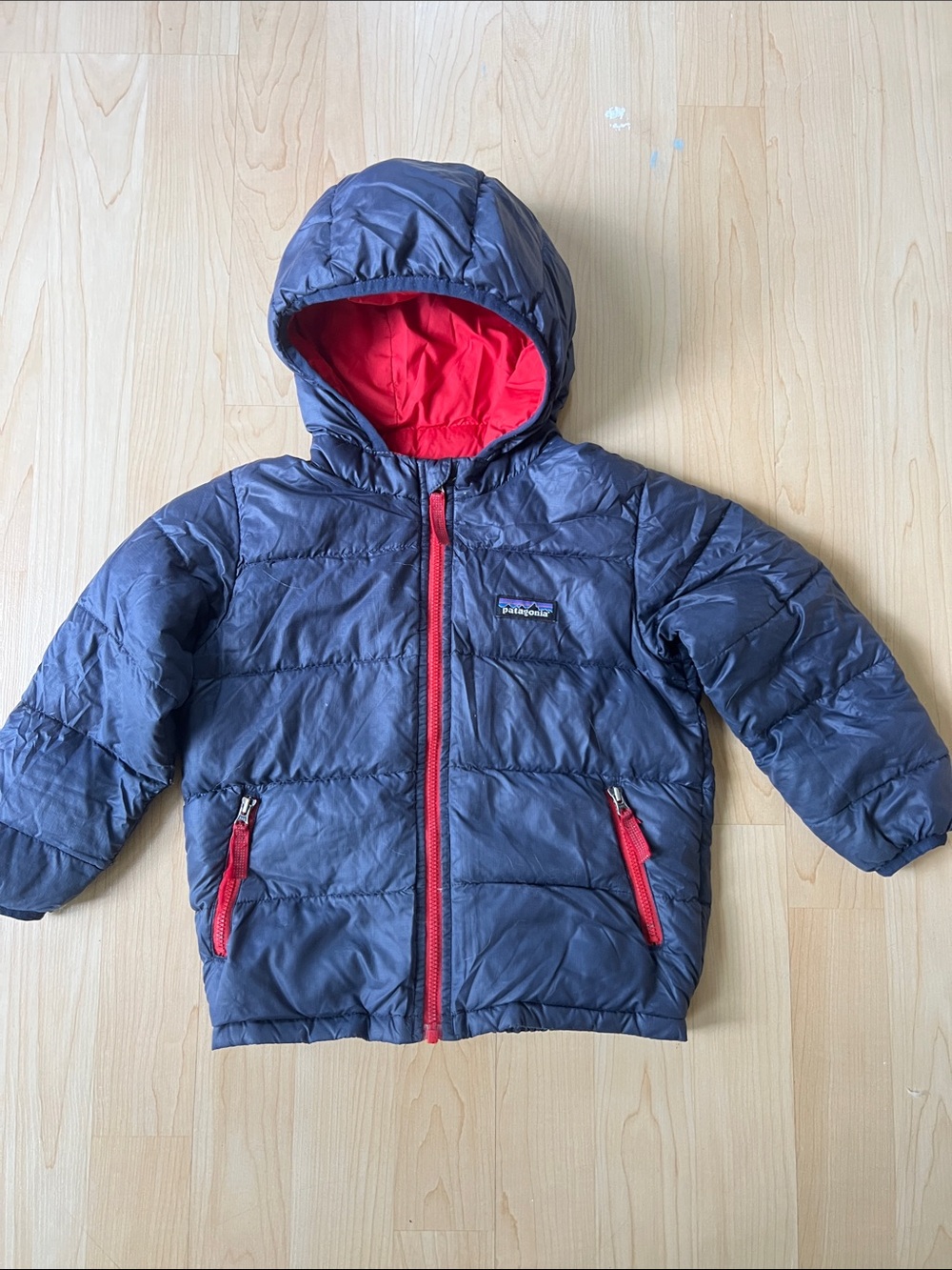 Patagonia Hi Loft Down Hoody 3T